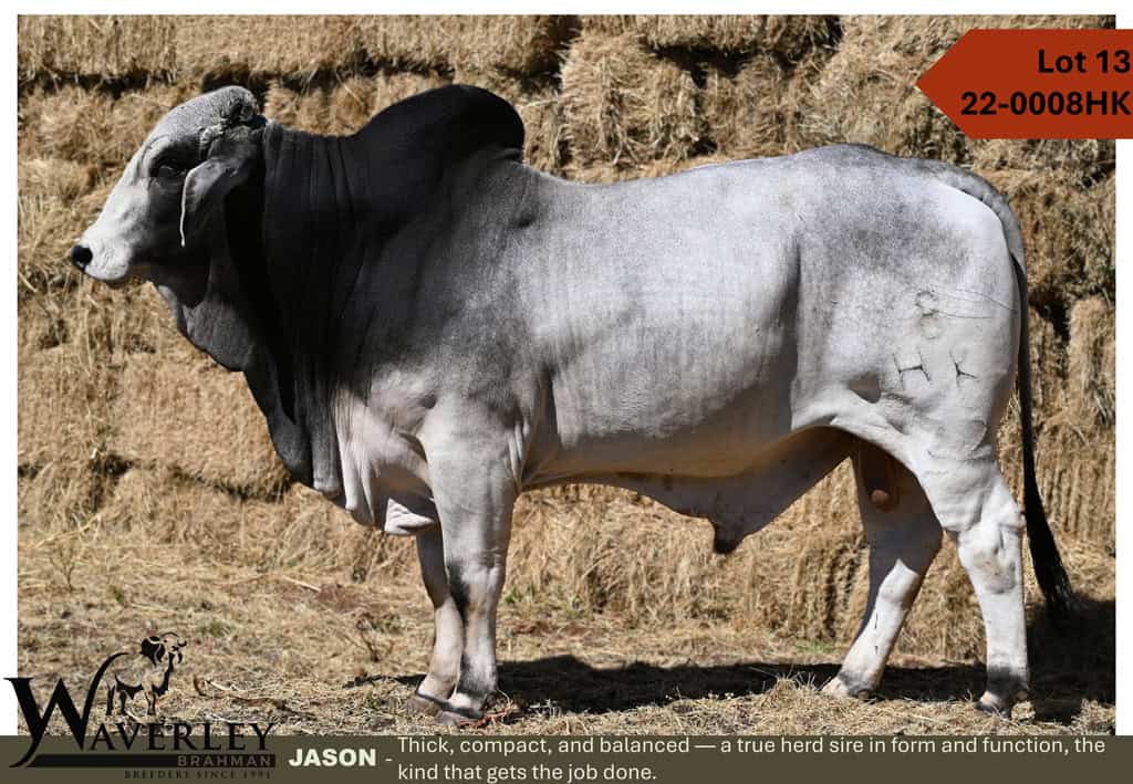 Lot-13-22-0008HK
