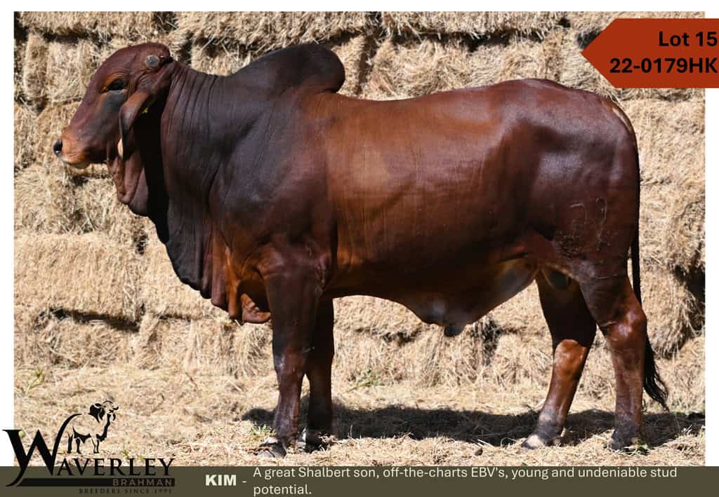 Lot-15-22-0179HK