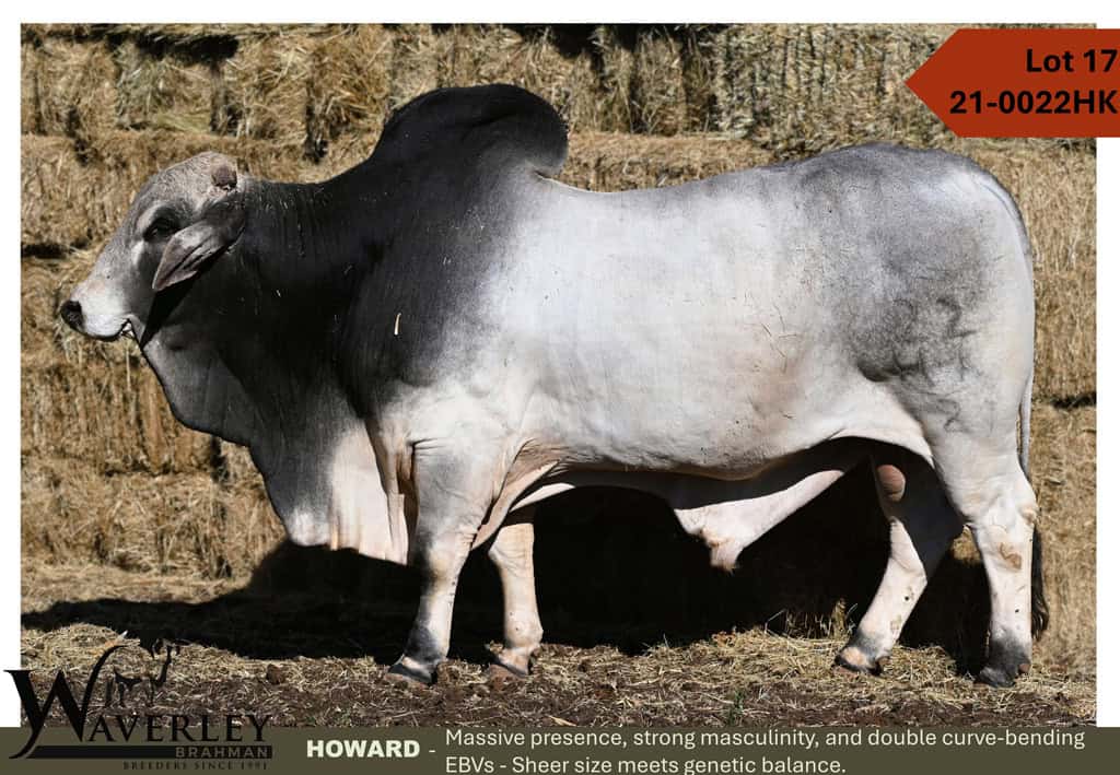 Lot-17-21-0022HK