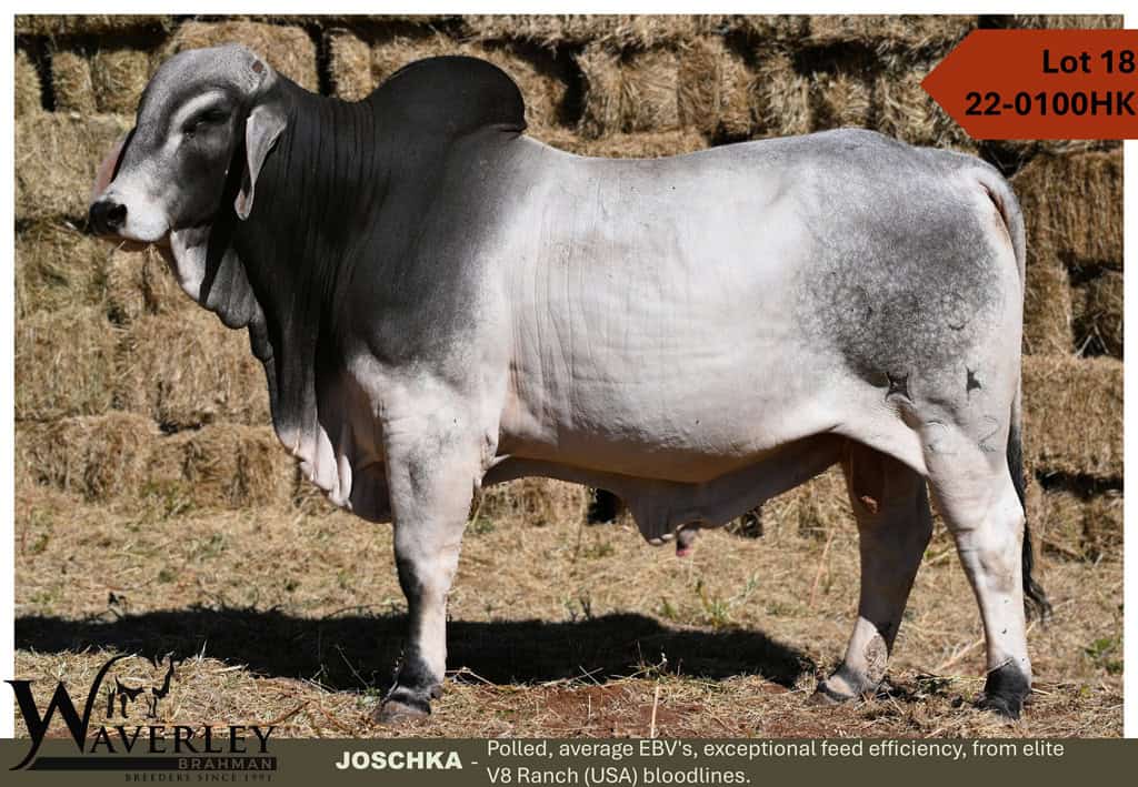 Lot-18-22-0100HK