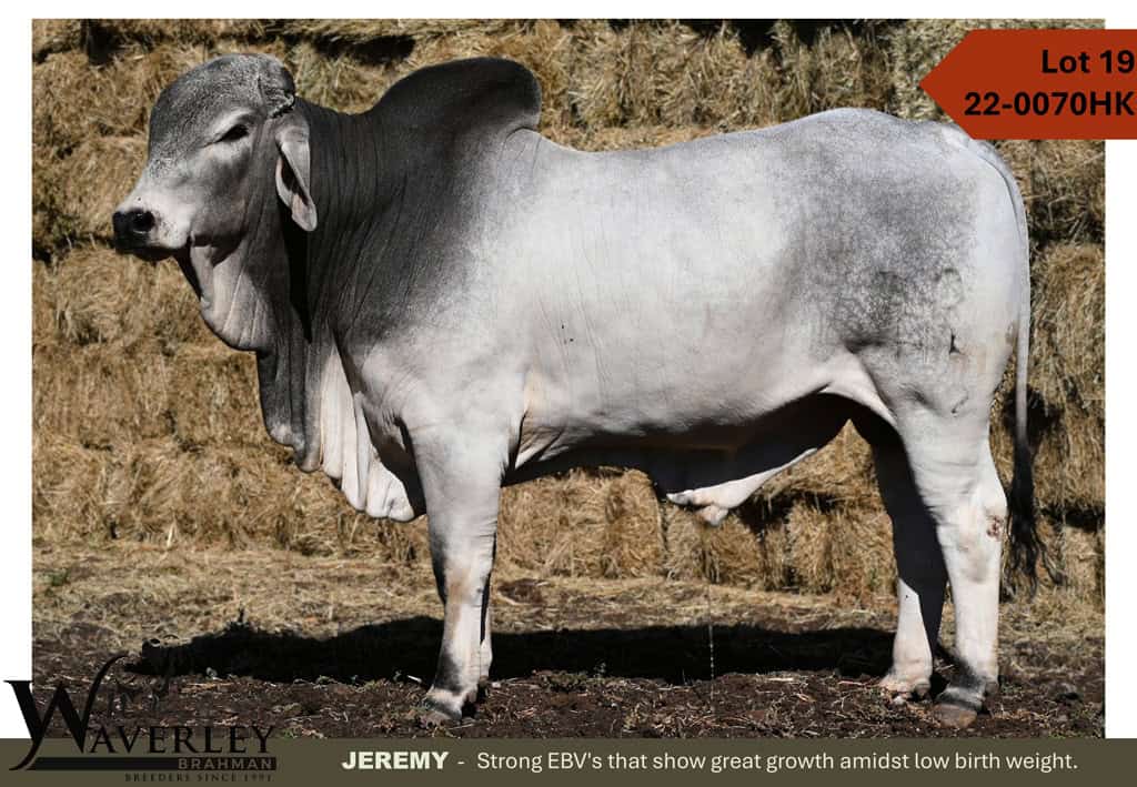 Lot-19-22-0070HK
