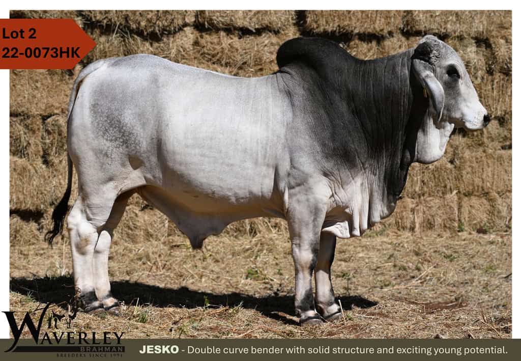 Lot-2-22-0073HK