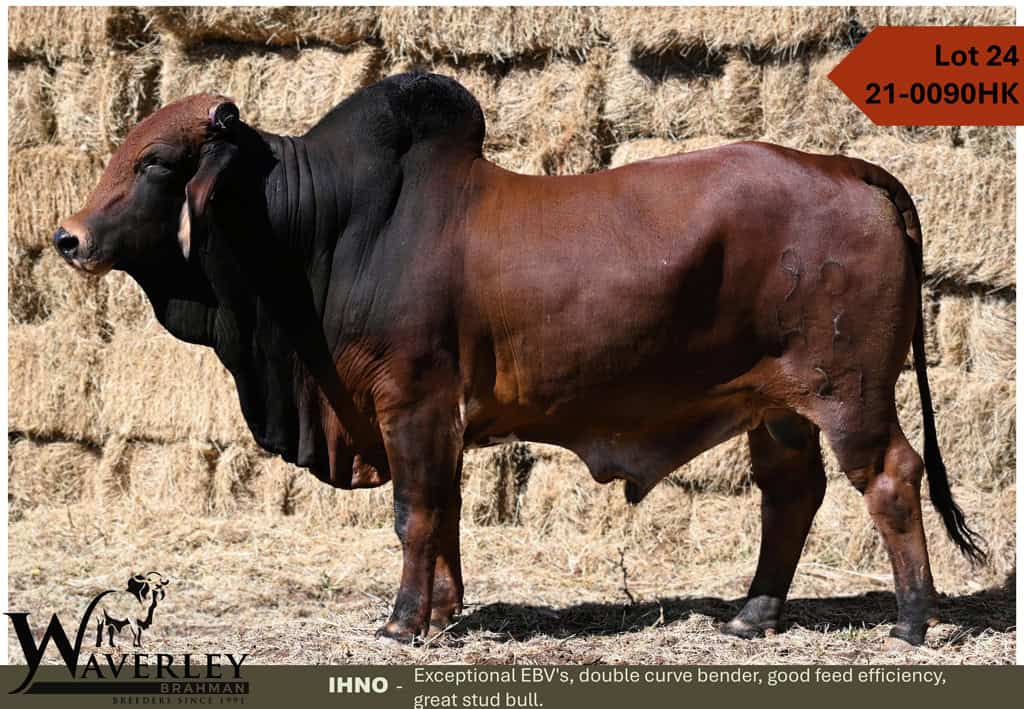 Lot-24-21-0090HK