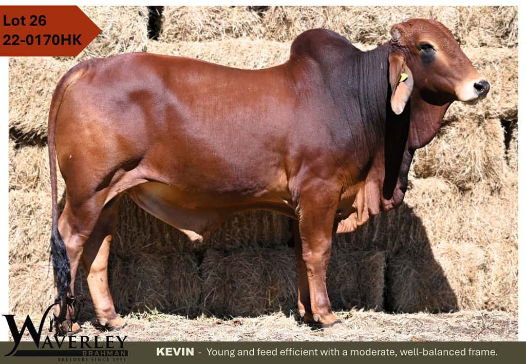 Lot-26-22-0170HK