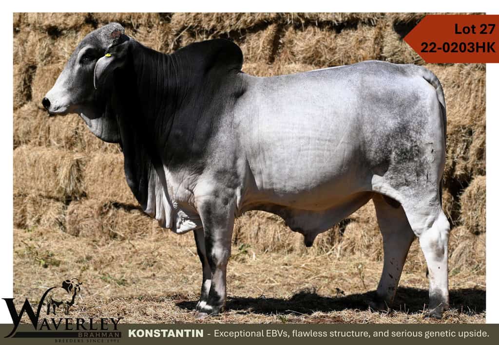 Lot-27-22-0203HK