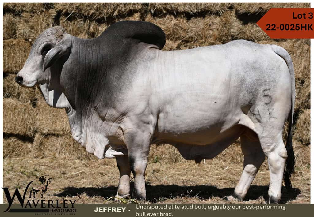 Lot-3-22-0025HK