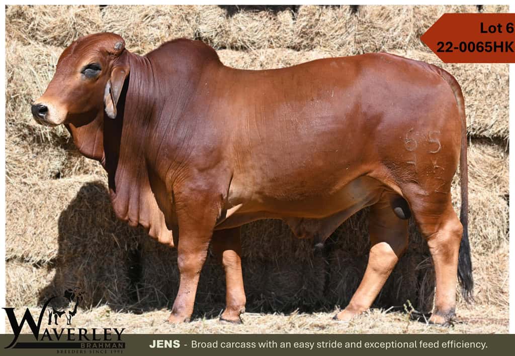 Lot-6-22-0065HK