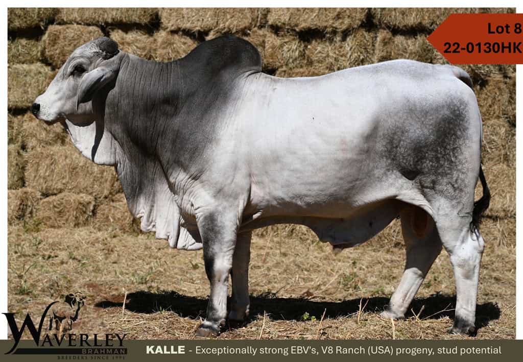 Lot-8-22-0130HK