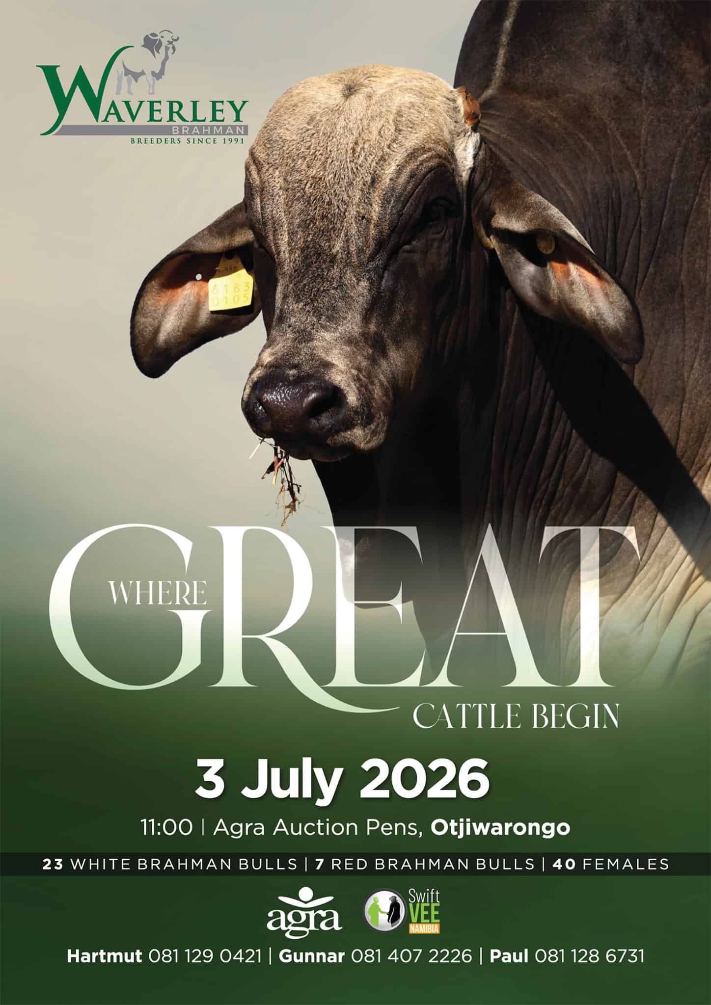 Waverley Brahman Auction 2026